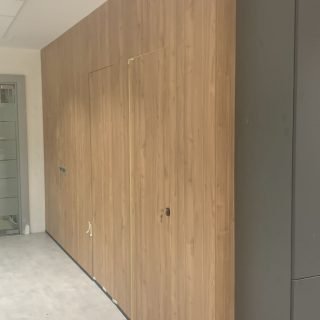 Panel + puerta